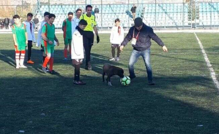 Sahaya giren köpek ortalığı birbirine kattı