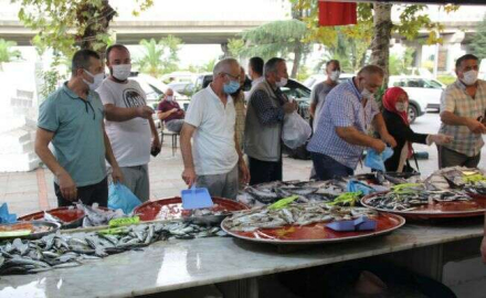 Rize’de balık tezgahlarında palamut izdihamı