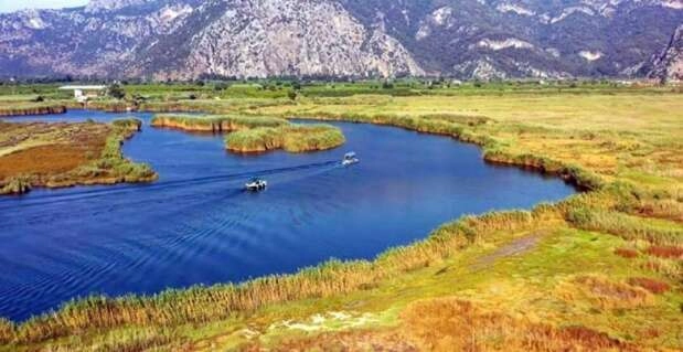 Dalyan Kanalı'nın labirent gibi sazlıkları havadan görüntülendi